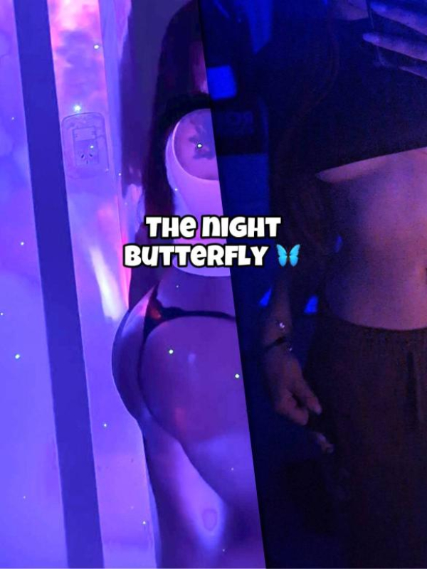The night butterfly 🦋