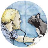 Записки ветврача 📝 - Telegram канал