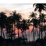 Фотобродяга