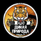 Дикая природа 🐯 — Telegram канал