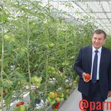 Парникчилар