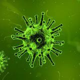 О прививках без истерик