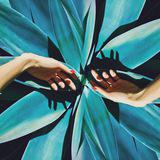 не тереби дао