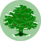 Наблюдения под чинарой