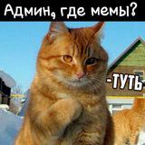 Мемный Канал 😂😹
