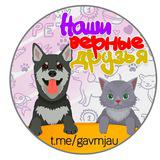 Наши верные друзья!