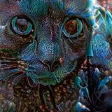 Котуалы - Telegram канал