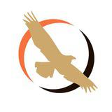 ЛПР Петербург