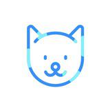 Слифки - сливы медиаконтента