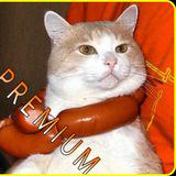 Modz - Alex.Strannik