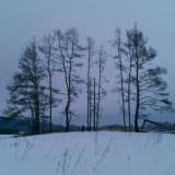 Roudasta rospuuttoon