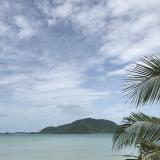 Интересные новости Пхукета — Telegram канал