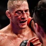 БОИ БЕЗ ПРАВИЛ🥊 - Telegram канал