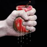 Wylsacom Red | Вилса