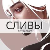 ГАЙДЫ free «Сливы»
