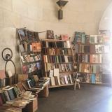 Книжный вор