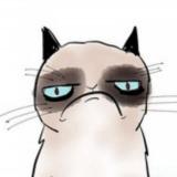 ❤️ Забавные животные 😹🐶😻|Юмор|Гифки|Котики|Мемы|Прикол|Звери|Питомцы|Видео|Мими|Милота|Щенки|Енот — Telegram канал