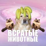 всратые животные — Telegram канал
