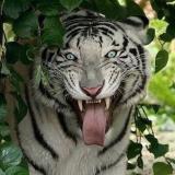 Жизнь на Земле 🌎