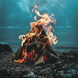 𝙵𝚁𝙴𝙴𝙳𝙾𝙼 🕊 - Telegram канал