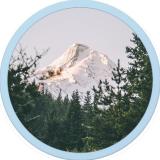 L i f e & T r a v e l