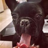 Сучкина мать - Telegram канал