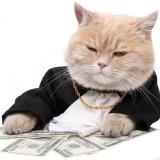 Налоги | Законы | Бизнес — Telegram канал