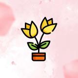 Цветочный рай