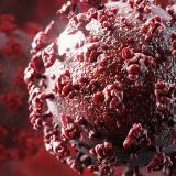 Врачи России | Медицина | Коронавирус - Telegram канал