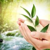 Бесплатное здоровье