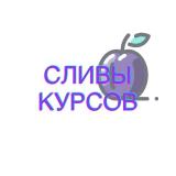 Slivka | БЕСПЛАТНЫЕ КУРСЫ