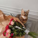 Для твоих бывших🍷🖤