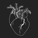 Голос сердца