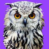 💎 МУДРЫЕ МЫСЛИ 💎