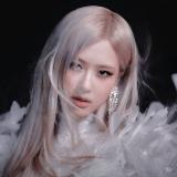 ROSÉ | YG