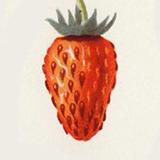 Пиши, соблазняй