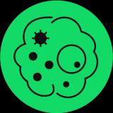 Биология ЕГЭ | Вебиум