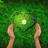 Здоровье от природы — Telegram канал