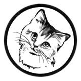 Ох уж эти Котейки!