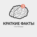 Краткие факты — Telegram канал