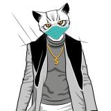 Финсистема