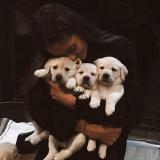 ot_blogerov | Сливы курсов, чек листов, гайдов, марафонов от блогеров 🔥