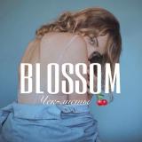 BLOSSOM🍒 Курсы | Чек-листы
