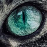 Око Оренбуржья