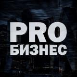 PRO Бизнес