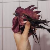 Муторность