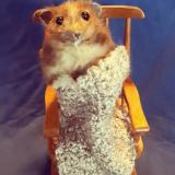 🏡Уютный Трейд - Фондовый рынок/Трейдинг/Аналитика — Telegram канал