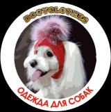 Одежда для собак