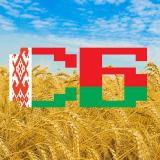 Советская Белоруссия