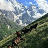 Красивые места России — Telegram канал